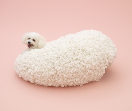 Architecture for Dogs